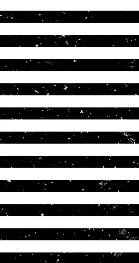 Black and White Striped Wallpaper 14