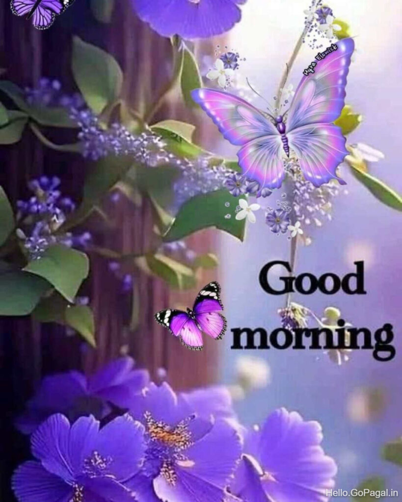 Good Morning Butterflies