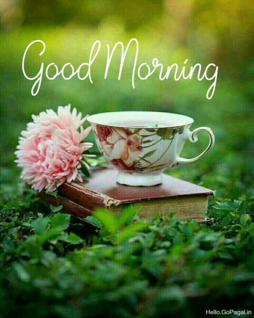 Good Morning Video Whatsapp Wishes Quotes Message Greetings